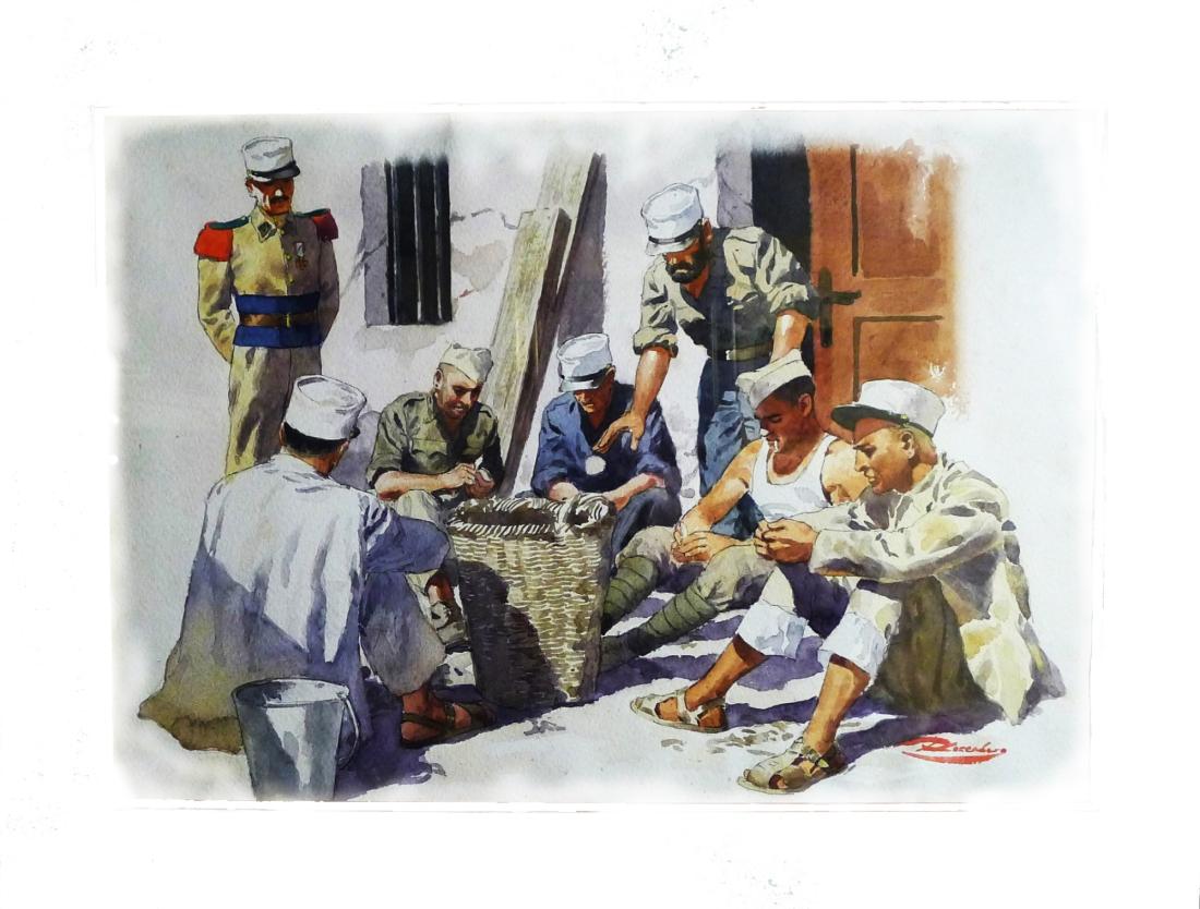 La corvea desplumando